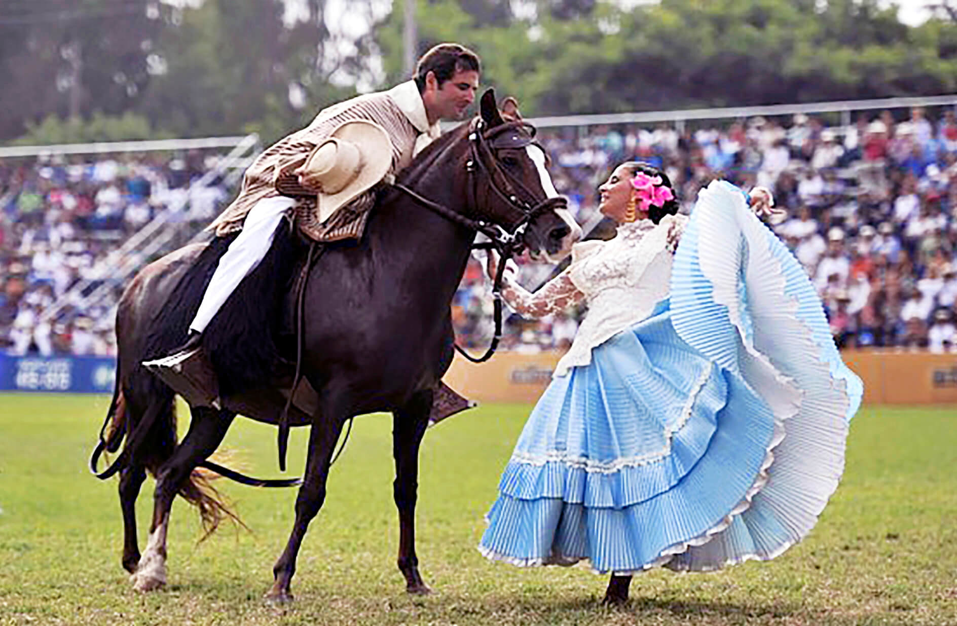 Pachacamac Caballos Paso